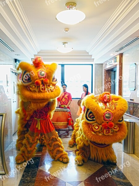 Lion Dance Chinese Tradition New Year Luck