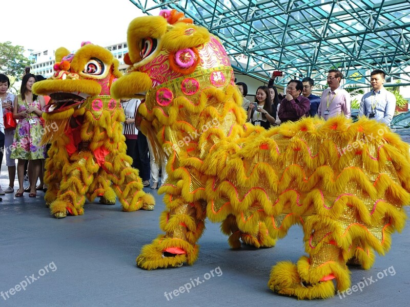 Lion Dance Chinese Tradition New Year Luck