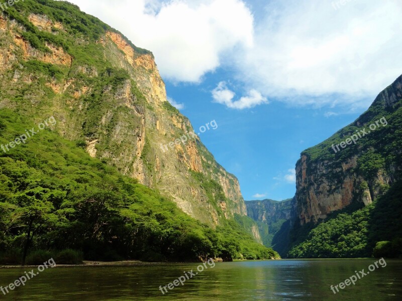 Chiapas Landscape Nature Beautiful Flower