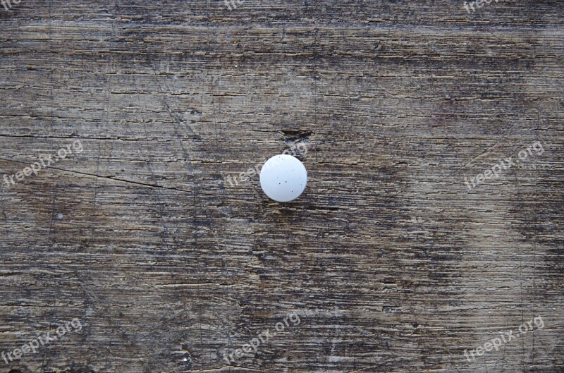 Pushpin Drawing Pin Thumbtack White Pin