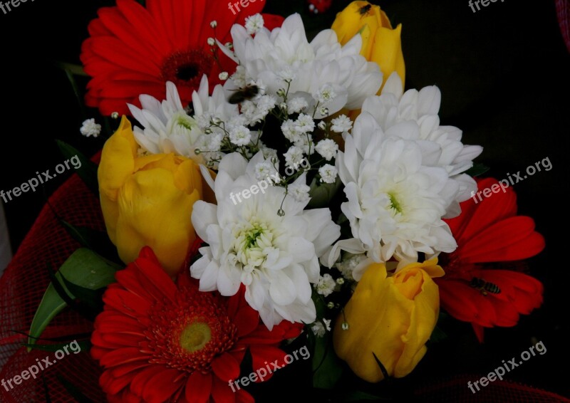 Flowers Coloring Bouquet Free Photos