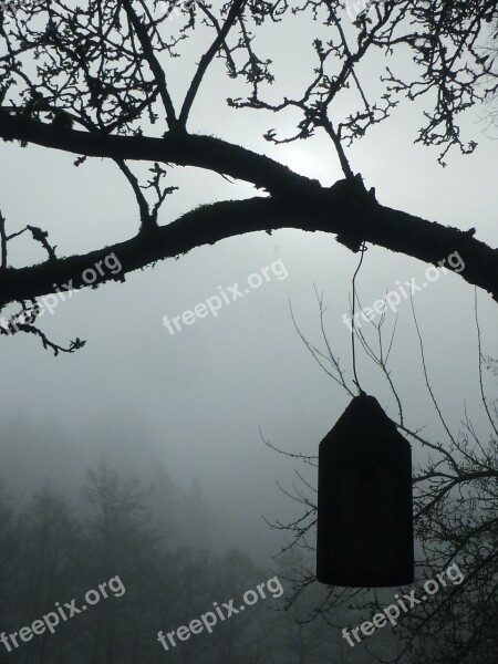 Fog Nesting Place Morning Nature Black And White