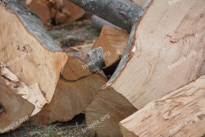 Wood Trunks Trunks Of Trees Free Photos