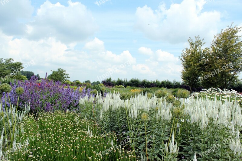 Appeltern Nature Landscape Free Photos