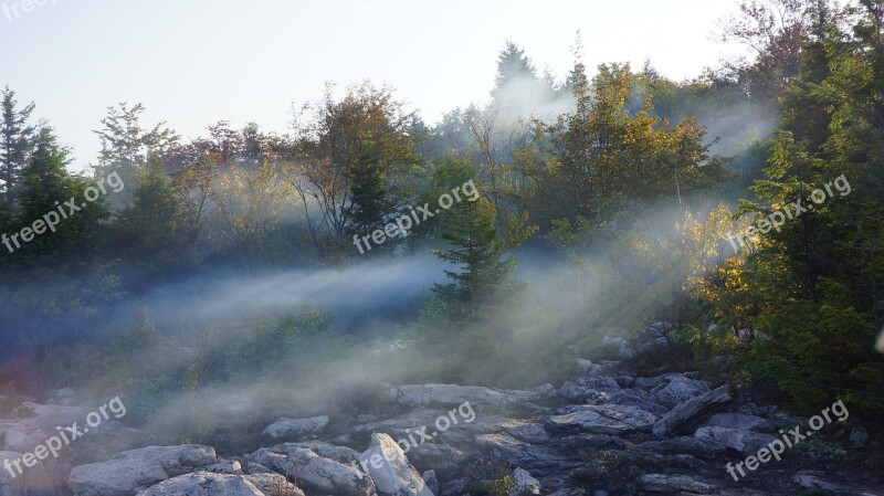 Morning Mist Fog Waft Light