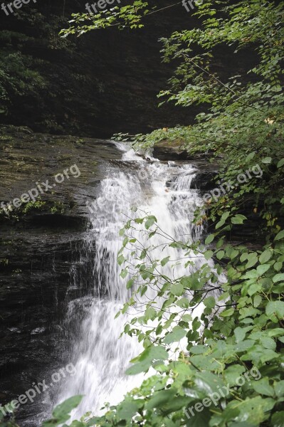 Waterfall Creek Water Nature Forest