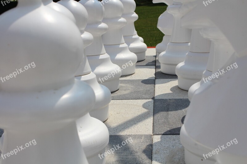 Chess Chess Board Chess Pieces Free Photos