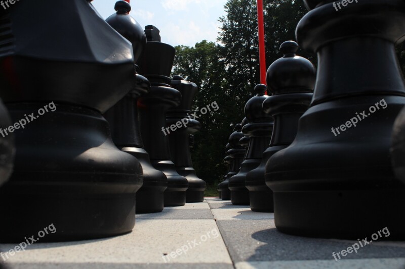 Chess Chess Board Chess Pieces Black And White Free Photos