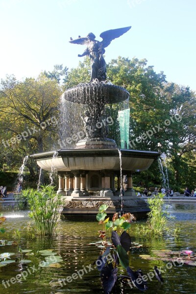 Central Park Nyc Manhattan Nature Fountain