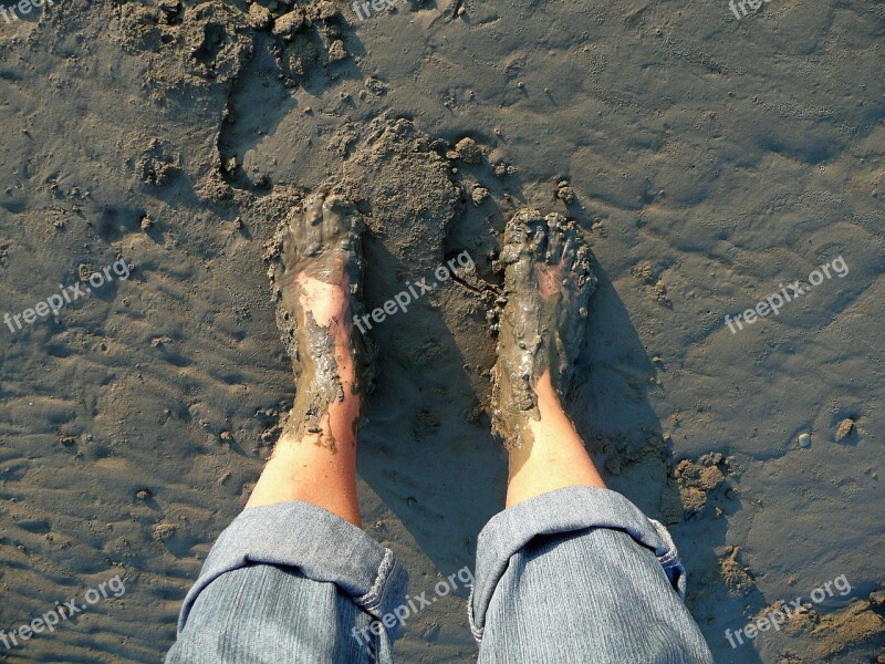 Mud Watts Feet Naked Wadden Sea