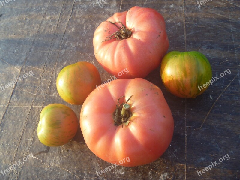 Tomato Brandywine Tomatoes Heirloom Food