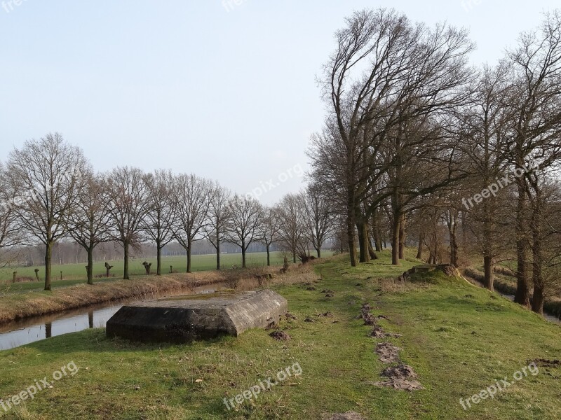 Nature Landscape Netherlands Water Trees