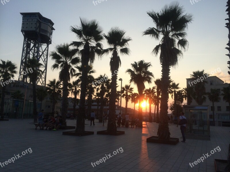 Palms Sunset Barcelona Free Photos