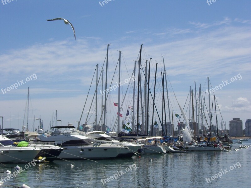 Sailboat Port Seagull Sky Sea