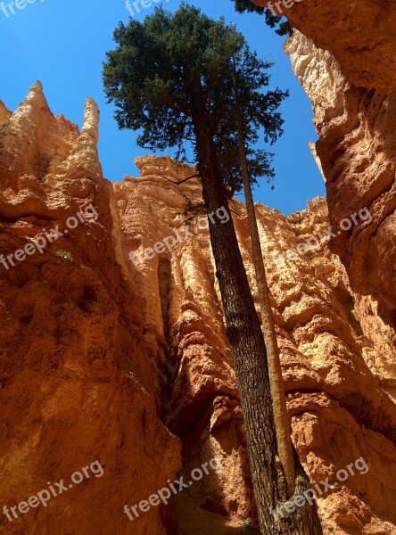 Bryce Canyon Scenic National Travel Utah