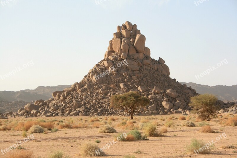 Algeria Sahara Desert Tropical Vegetation Granite