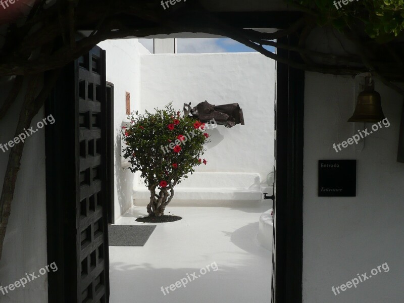 Del Agua Caves Lanzarote Cave Dwelling Free Photos