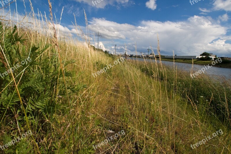 Rhine Water River Landscape Bank Free Photos