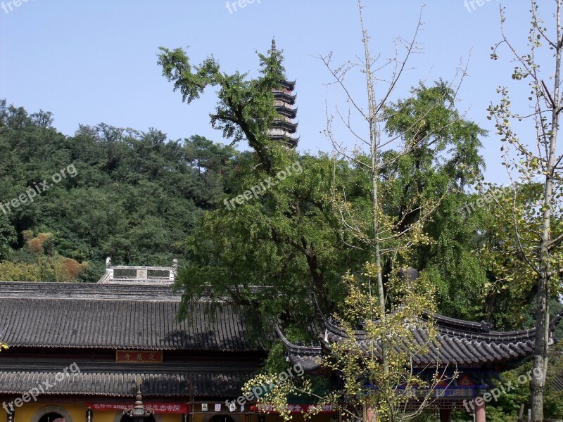 Temple Buildin Buddha Tower Asia