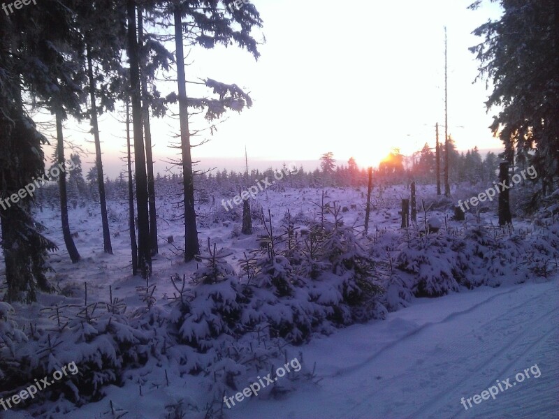 Winter Trail Snow Free Photos