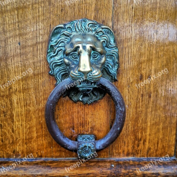 Lion Knocker Door Bronze Patina