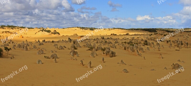 Pinnacles Nambung National Park Australia West Australia Free Photos