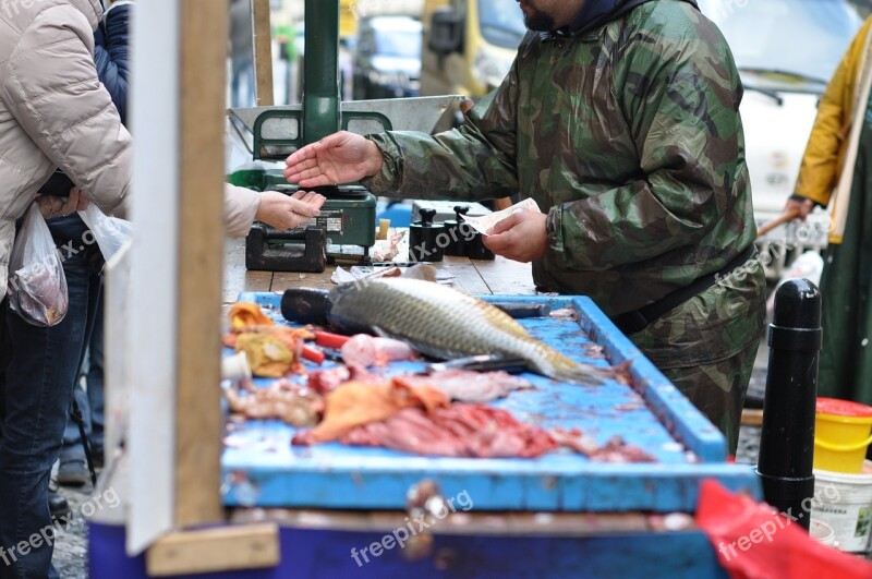 Carp Christmas Gutting Free Photos