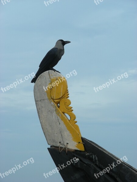 Seevogel Fishing Boat India Free Photos