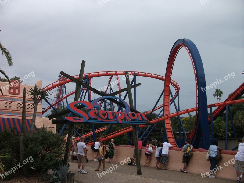 Roller Coaster Florida Free Photos