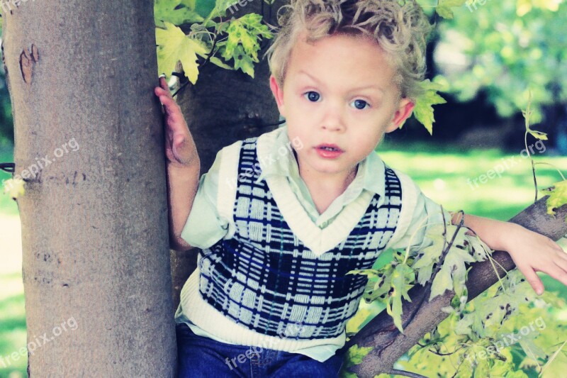 Child Portraits Boy Face Fall