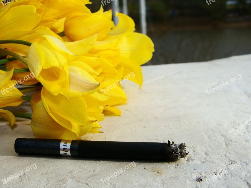 Smoking Cigarette Flowers Spring Free Photos