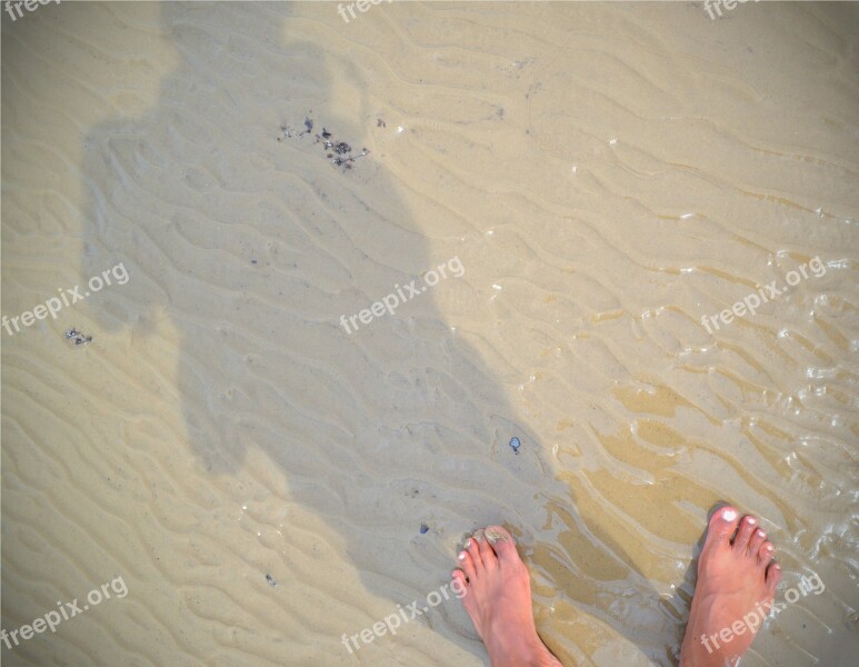 Shadow Beach Feet Sun Summer