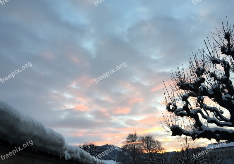 Evening Evening Sky Winter Snow Sycamore