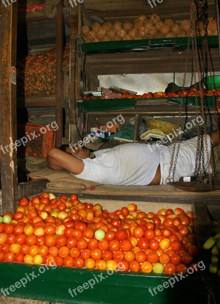 India Mumbai Vegetable Market Fruits Rest