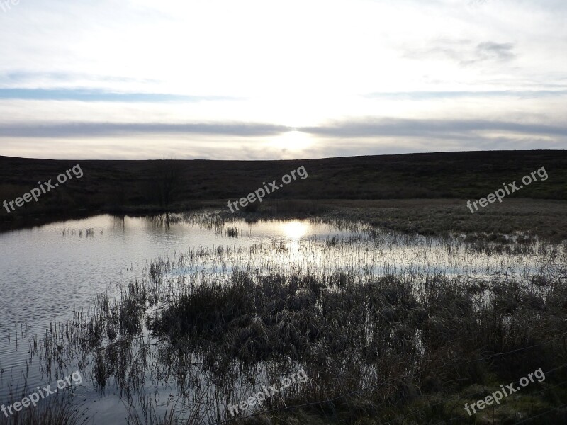 Water Marsh Grey Dusk Free Photos