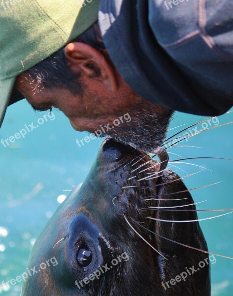 Fisherman Old Man Robbe Fish Feed