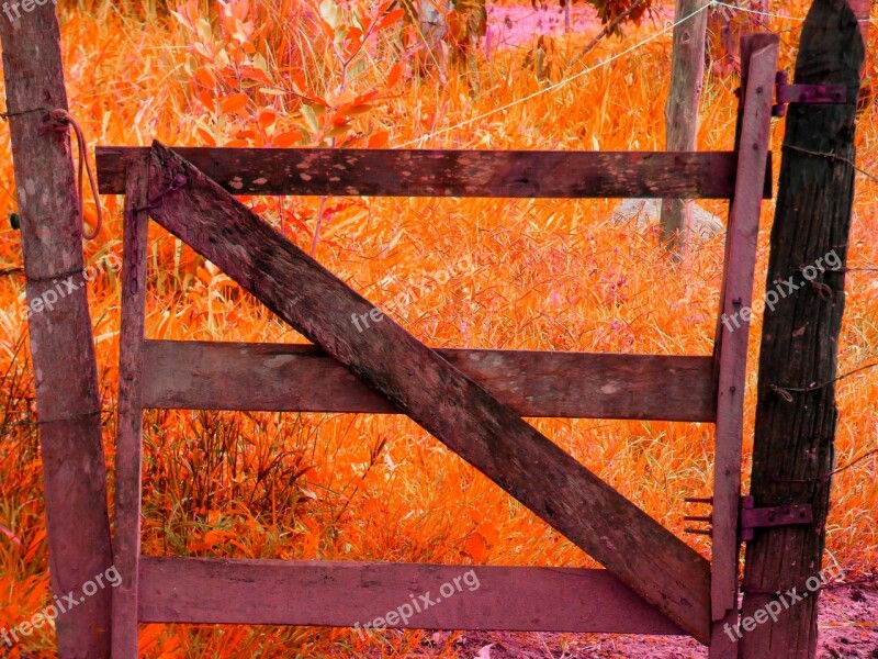 Concierge Leaves Tree Landscape Nature