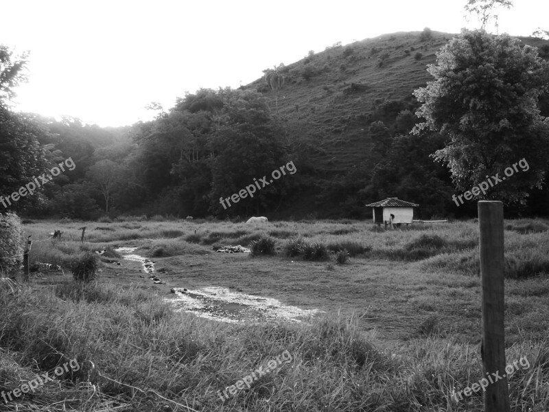 Landscape Nature Black And White Trees Mountain