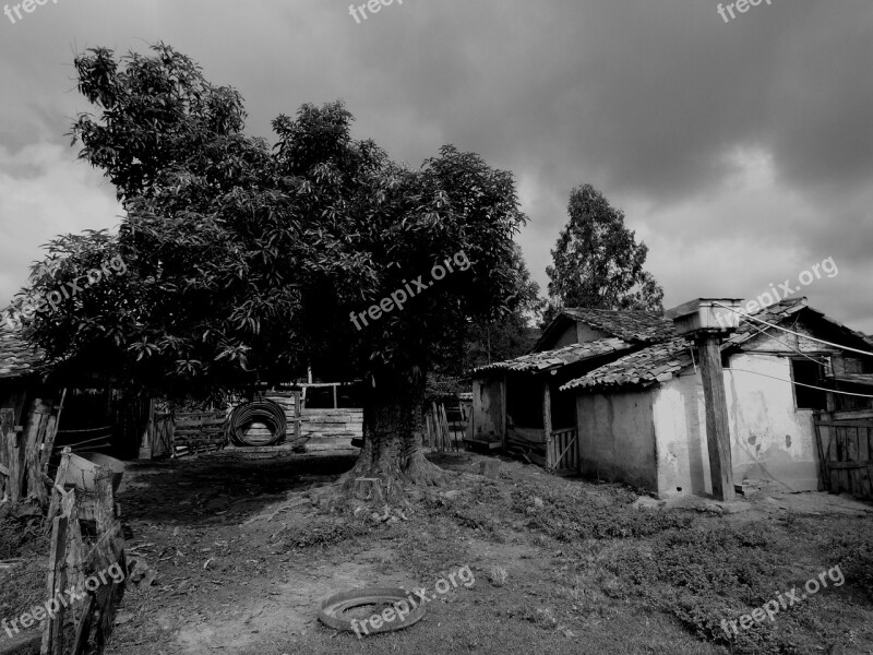 Landscape Black And White Roça Farm Tree