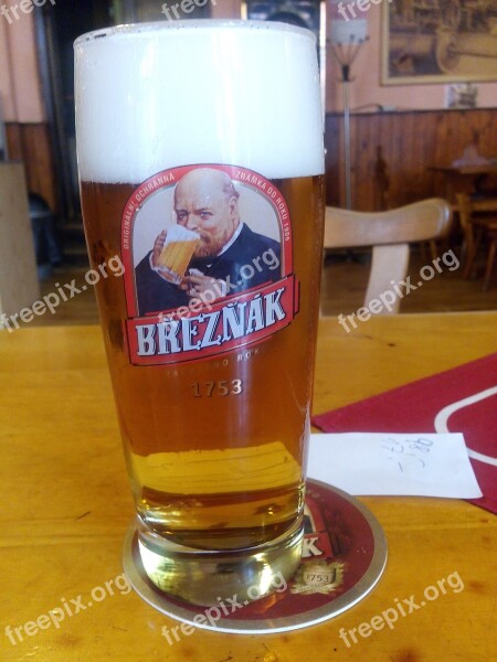 Decin Pivo Glass Free Photos