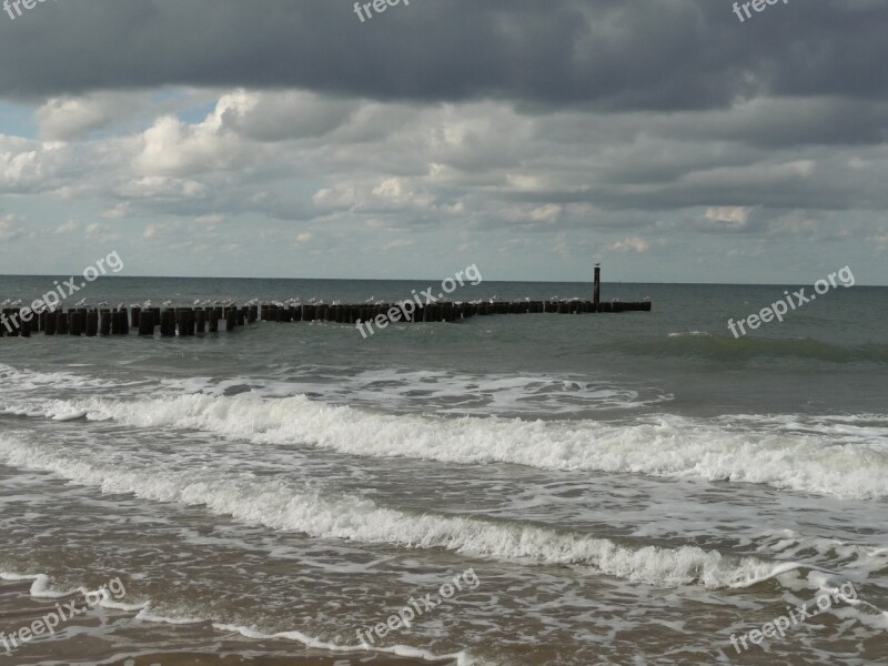 Sea Water North Sea Pile Beach