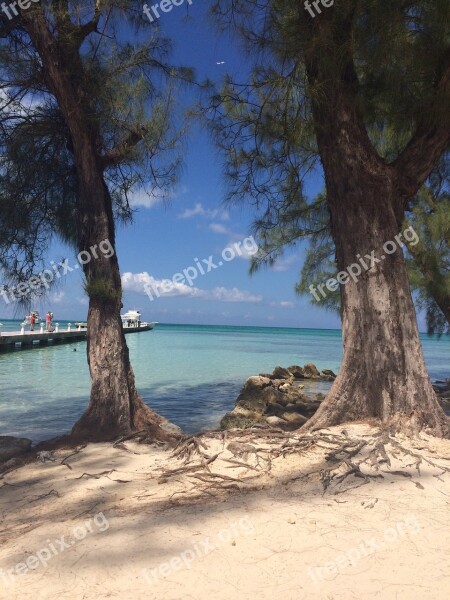 Beach Trees Cove Island Tropical