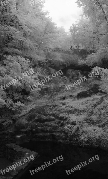 Infrared Black And White Serene Trees Fountain