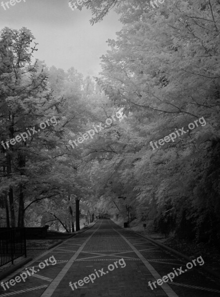 Infrared Black And White Brick Road Time Distance