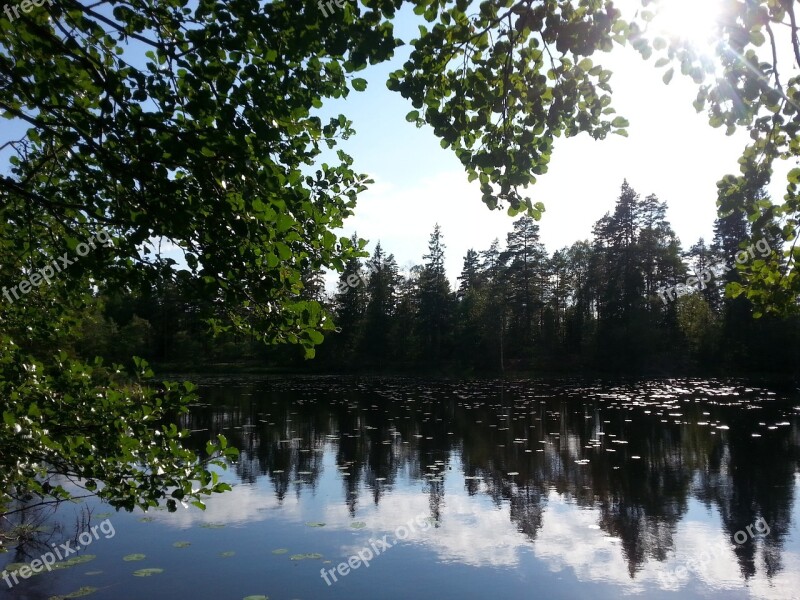 Lake Nature Water Mirror Summer