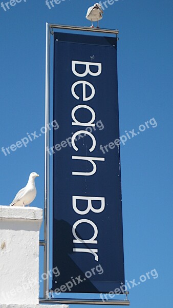 Beach Bar Seagull St Ives Cornwall Porthminster Beach