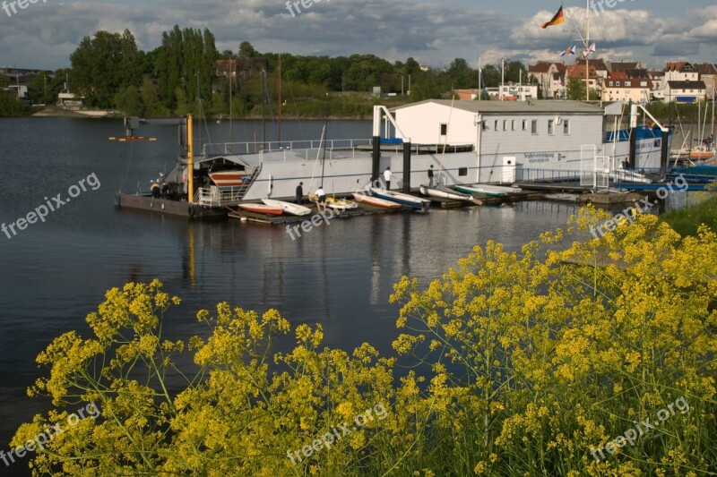 Old Rhine Rhine Mannheim Free Photos