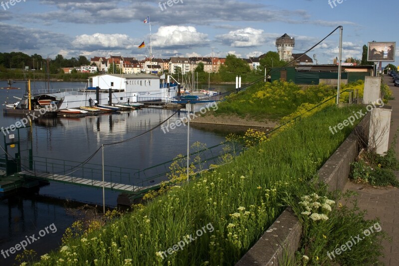 Old Rhine Rhine Mannheim Free Photos