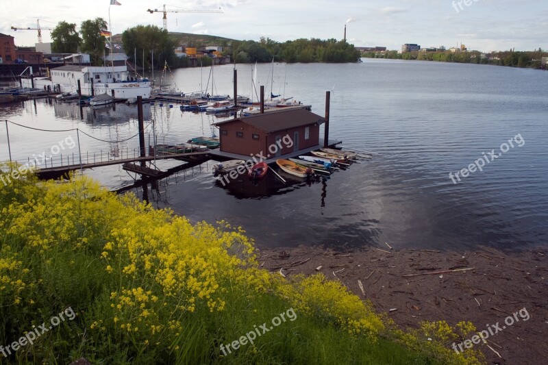 Old Rhine Rhine Mannheim Free Photos