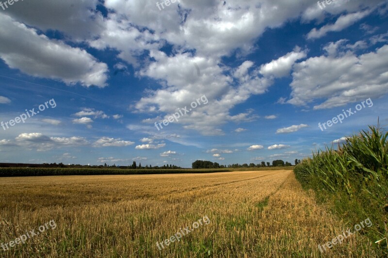 Clouds Cereals Field Summer Sky Free Photos